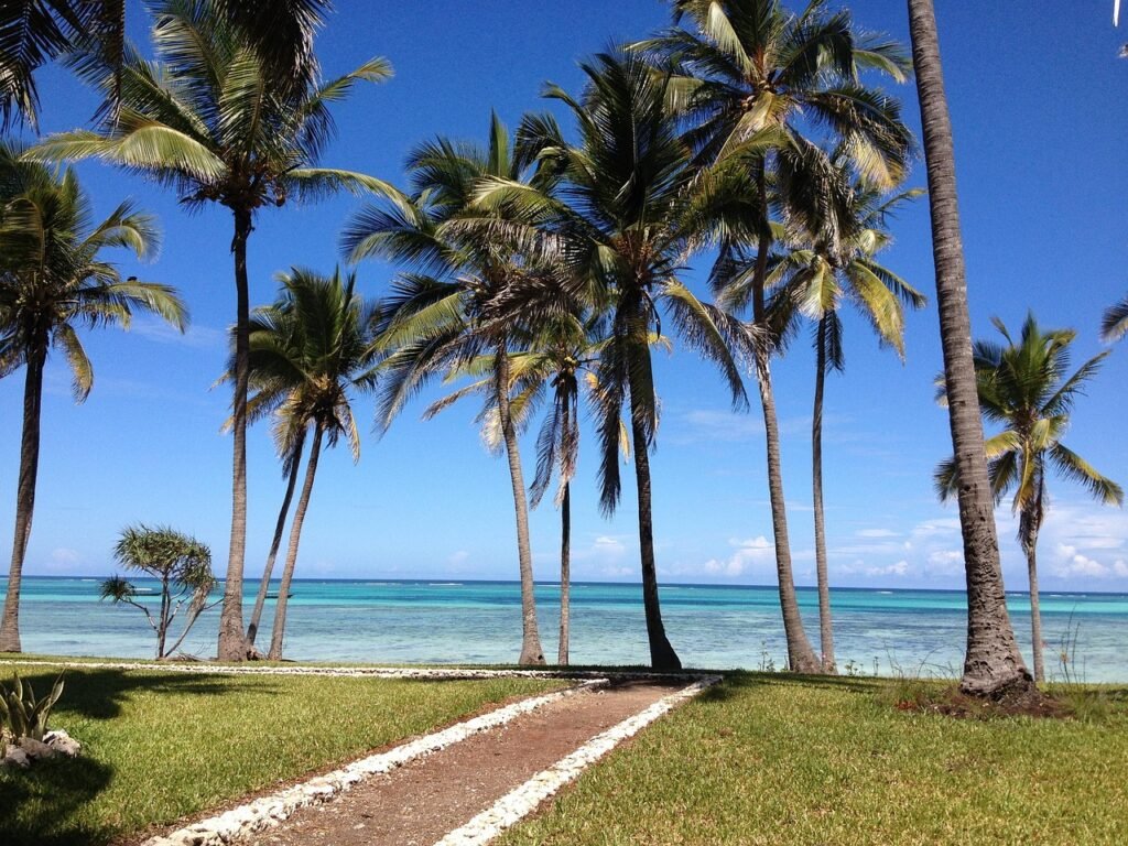 zanzibar, nature, sea, palms, tanzania