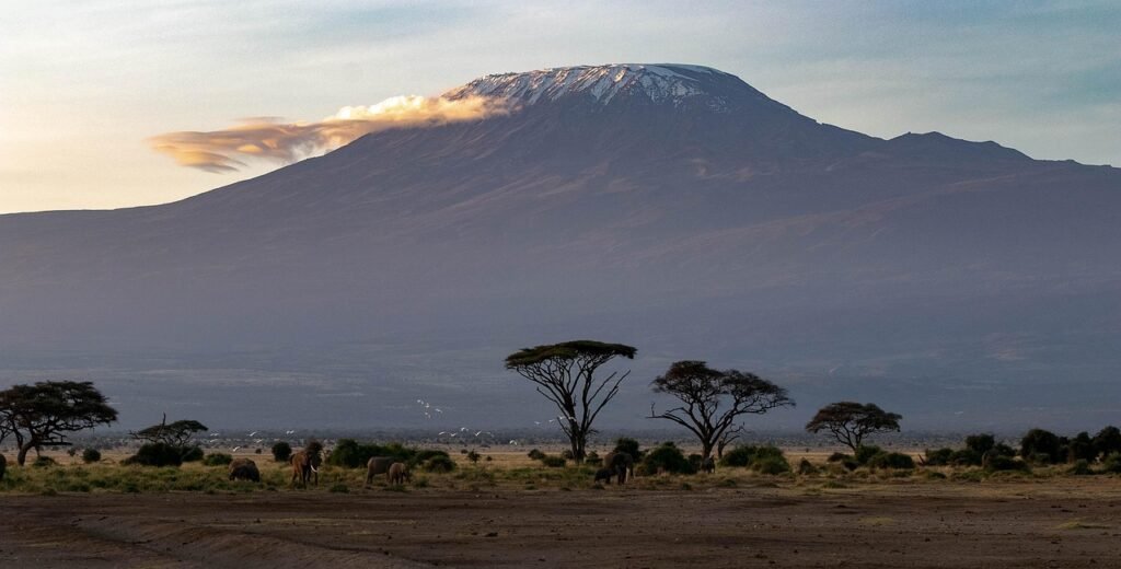 africa, kenya, amboseli national park, safari, wilderness, landscape, national park, kilimanjaro, nature, savannah, wildlife, kenya, kenya, kilimanjaro, kilimanjaro, kilimanjaro, kilimanjaro, kilimanjaro, savannah